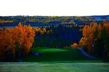 Golf Course Living at Dorchester Golf Course near Pigeon Lake - Photo 13