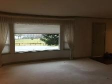 Spacious 4-Bedroom View Home Near Mill Lake – Available August 1 - Photo 5