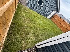Urbanroot spaces ltd. Landscape work