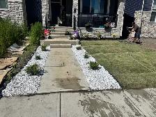 Urbanroot spaces ltd. Landscape work - Photo 4