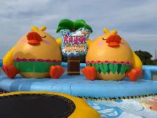 ️ North America’s Largest Floating Water Park on Lake Simcoe - Photo 2