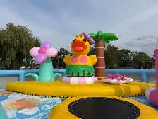 ️ North America’s Largest Floating Water Park on Lake Simcoe - Photo 3