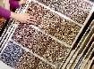 WHOLESALE CARPET, PAD AND CARPET INSTALLATION