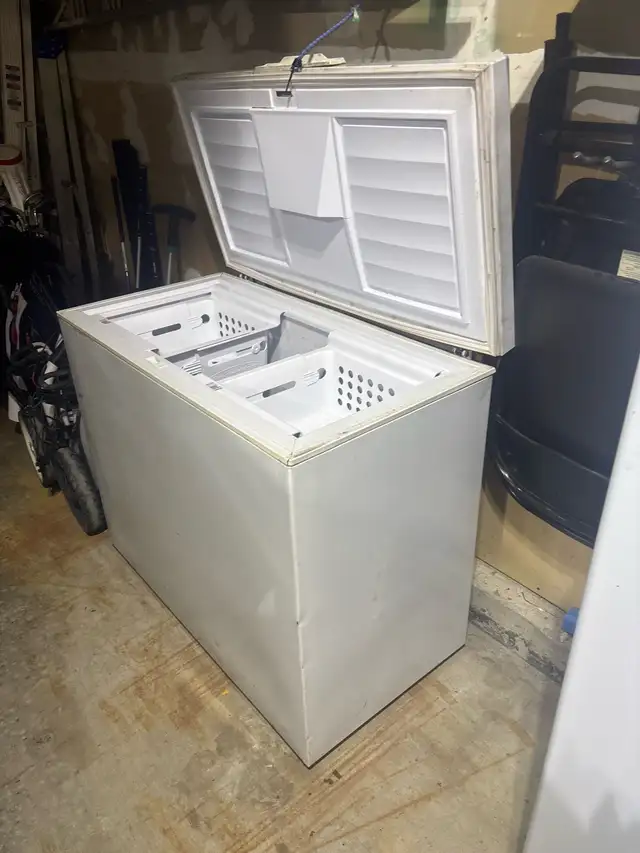 Getting rid of old freezer