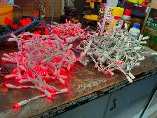 Christmas Lights - Photo 4