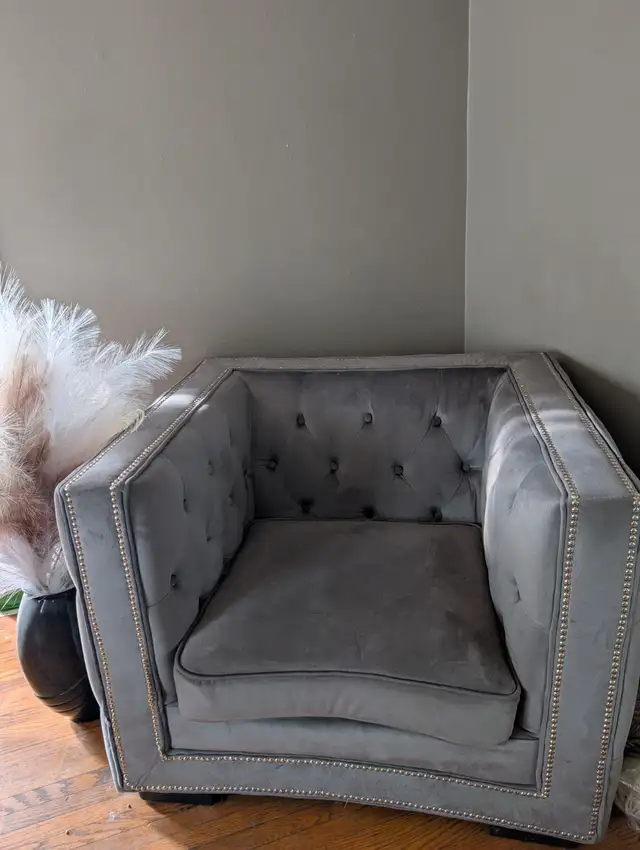 Set of 2 beautiful gray velvet chairs