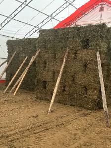 Square Bales - Photo 2