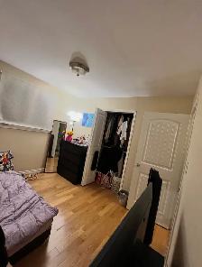 Room Near Seneca College | Finch & Victoria Park | Females Only - Photo 2
