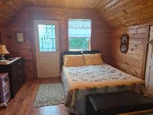 Charming A-Frame Cabin/Home on Old Witless Bay Line - Photo 4