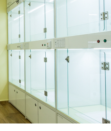 Premium Custom Pet Condos / Vet Cages with Heating & Glass Doors