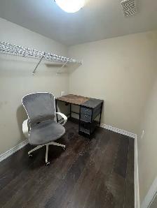 Newly Renovated 2-Bedroom Basement for Rent – Brampton - Photo 6
