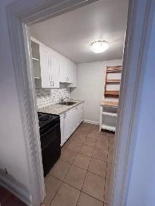 Large One Bedroom Apartment for Rent | Canal/Pretoria Area - Photo 8
