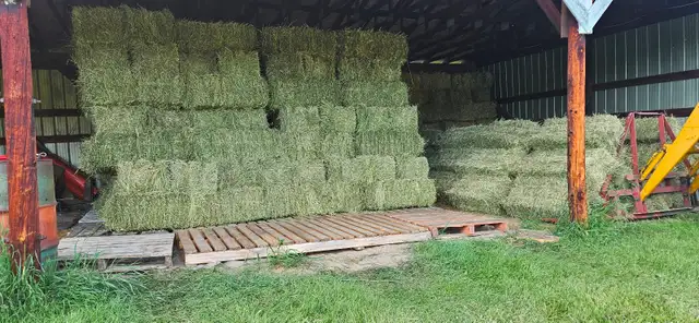 Horse Hay - Small Squares A/T/B