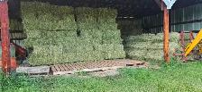 Horse Hay - Small Squares A/T/B