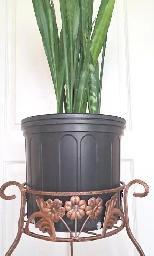 SNAKE PLANT & STAND - Photo 5