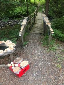 Bois en tranches et en rondelles à prix sublimes - Photo 2