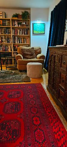 DOWNTOWN Montreal-LARGE beautiful 3 1/2, 1 bedroom-near McGill - Photo 4