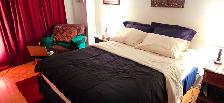 DOWNTOWN Montreal-LARGE beautiful 3 1/2, 1 bedroom-near McGill - Photo 8