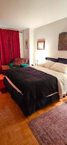 DOWNTOWN Montreal-LARGE beautiful 3 1/2, 1 bedroom-near McGill - Photo 9