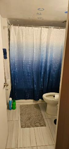 DOWNTOWN Montreal-LARGE beautiful 3 1/2, 1 bedroom-near McGill - Photo 14
