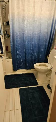 DOWNTOWN Montreal-LARGE beautiful 3 1/2, 1 bedroom-near McGill - Photo 16