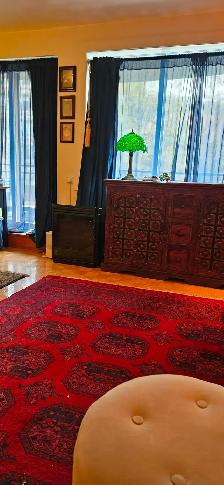 DOWNTOWN Montreal-LARGE beautiful 3 1/2, 1 bedroom-near McGill - Photo 18