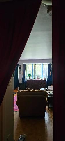 DOWNTOWN Montreal-LARGE beautiful 3 1/2, 1 bedroom-near McGill - Photo 19
