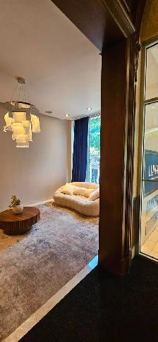 DOWNTOWN Montreal-LARGE beautiful 3 1/2, 1 bedroom-near McGill - Photo 22