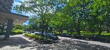 DOWNTOWN Montreal-LARGE beautiful 3 1/2, 1 bedroom-near McGill - Photo 27