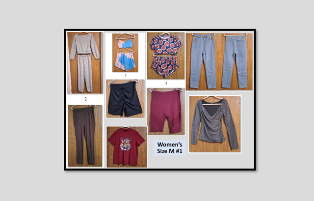 Lot of 12 Pieces Women's Clothing (Size M). Brand New.
