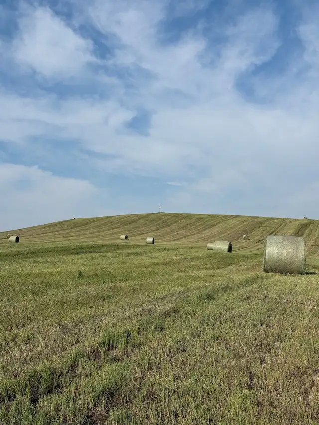 HAY FOR SALE