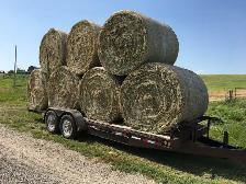 HAY FOR SALE - Photo 3