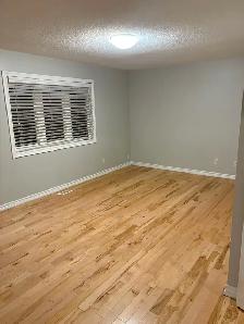 4 Bedrooms Beautiful House - Photo 11