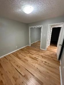 4 Bedrooms Beautiful House - Photo 16