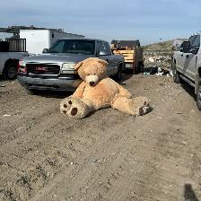 Yard Clean Up