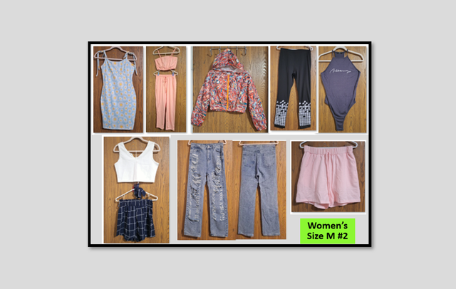Lot of 10 Pieces Women's Clothing (Size M). Brand New.