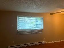 One Bedroom Apartment for Rent - Napanee Ontario - Photo 5