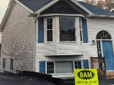 BAM PROFESSIONAL HOUSE AND DECK SOFT WASHING. HAVE IT NEW AGAIN - Photo 2