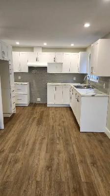 Beautiful Newly Renovated 4 1/2 (2 Bedooms) Apartment for rent - Photo 6