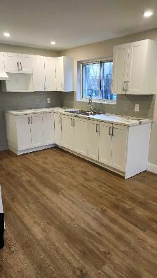 Beautiful Newly Renovated 4 1/2 (2 Bedooms) Apartment for rent - Photo 7