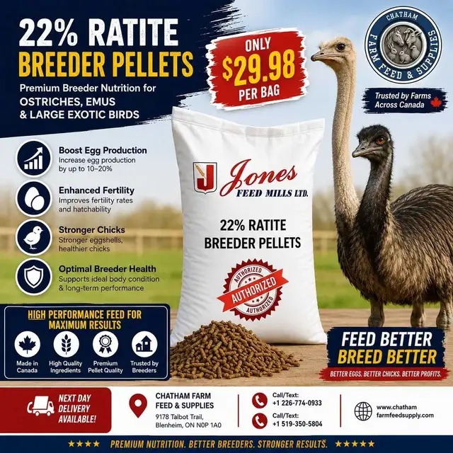 22% rattle breeder pellets