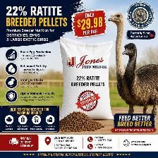 22% rattle breeder pellets