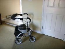 WALKER FOR SALE - Photo 2