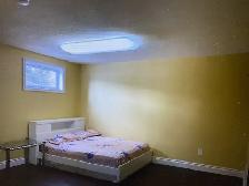 Basement Bedroom for Rent in a Large House in Edgemont Area - Photo 2