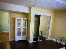 Basement Bedroom for Rent in a Large House in Edgemont Area - Photo 3