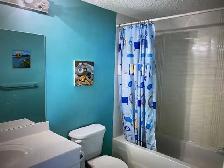 Basement Bedroom for Rent in a Large House in Edgemont Area - Photo 7