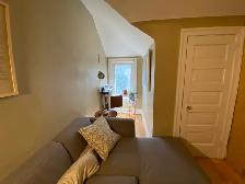 1 Bedroom Apartment - College and Ossington - Photo 4