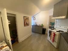 1 Bedroom Apartment - College and Ossington - Photo 6