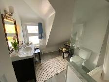 1 Bedroom Apartment - College and Ossington - Photo 9