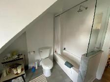 1 Bedroom Apartment - College and Ossington - Photo 10